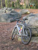 Holsteen Zonhoven