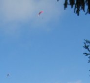 gemotoriseerde Skydiving
