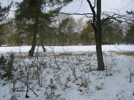 Golfterrein Houthalen onder de sneeuw!