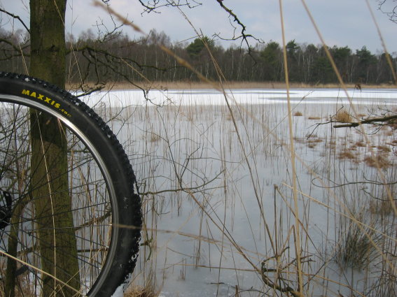 Vijver achter de Teut aan eerste brug