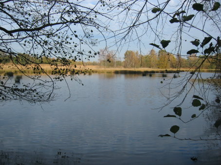 zicht op zelfde vijver met zon als gezelschap -  Wijvenheide