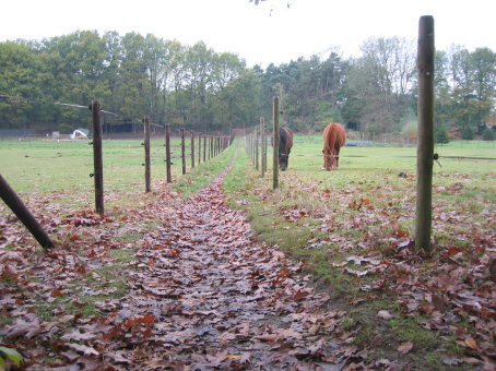 Wie zit er achter de omheining ? de MTB-er of de paardjes?