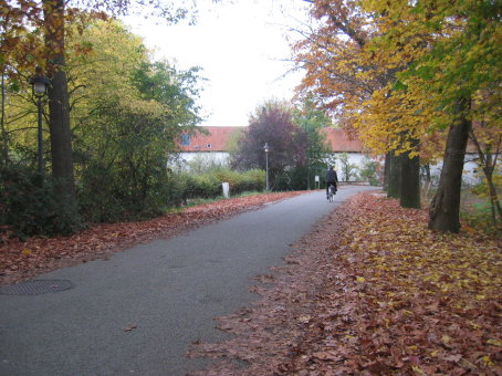Kasteel Ter Dolen in de achtergrond