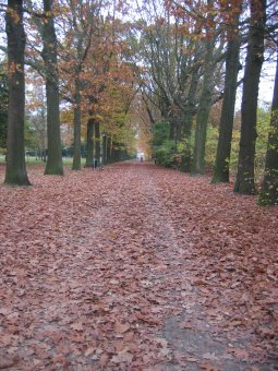 toegangslaan naar Kasteel Ter Dolen